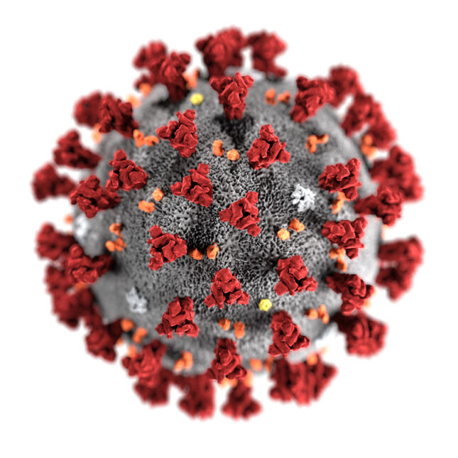 Coronavirus-CDC-645×645